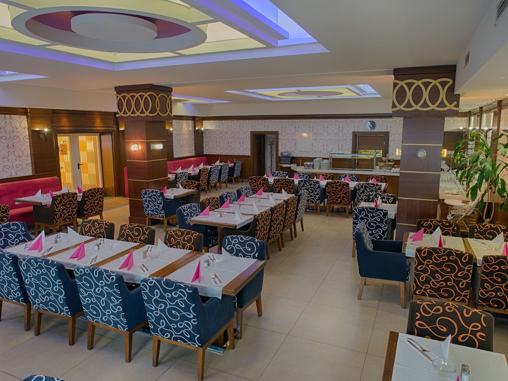 airport global hotel olive inn