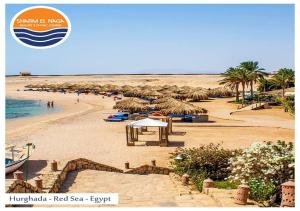 sharm el naga resort and diving center