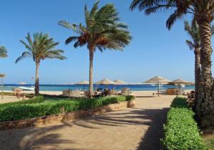 sharm el naga resort and diving center