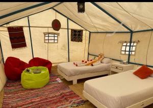 sharm el naga resort and diving center