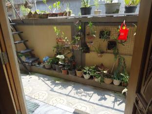 the reinhold guesthouse bali