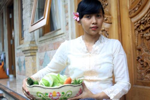 the reinhold guesthouse bali