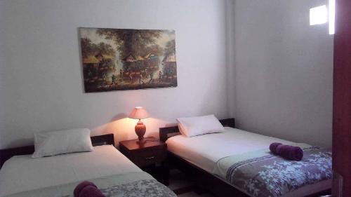 the reinhold guesthouse bali