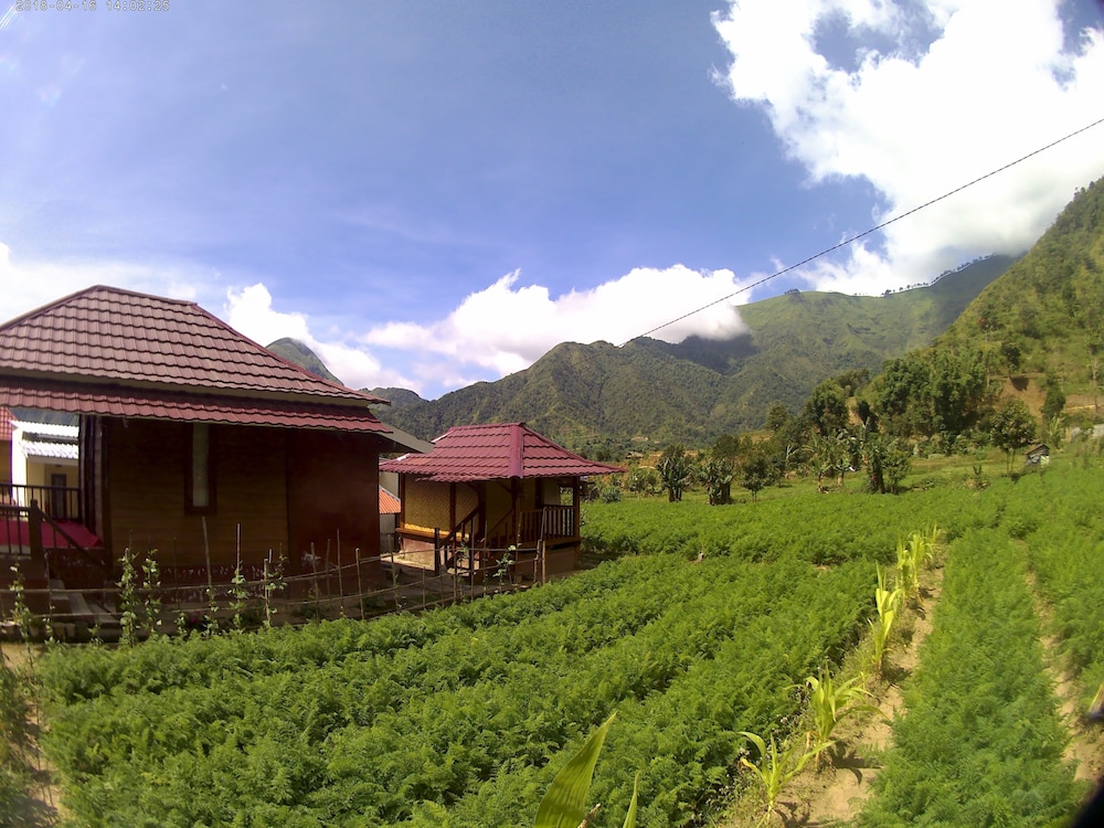 sembalunbumbung