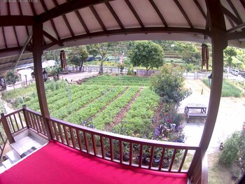 sembalunbumbung