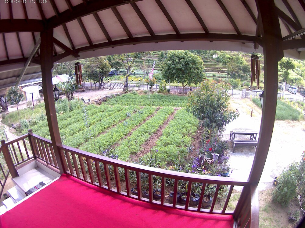 sembalunbumbung