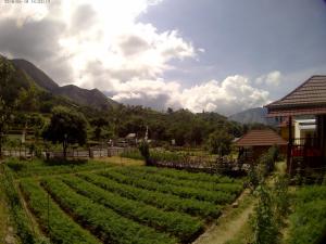 sembalunbumbung