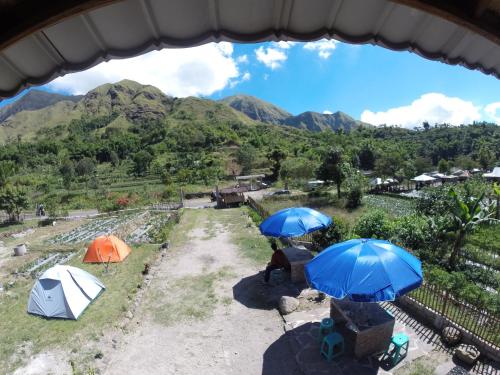 sembalunbumbung