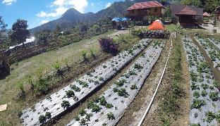 sembalunbumbung
