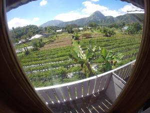 sembalunbumbung