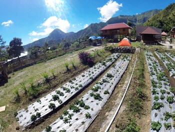 sembalunbumbung