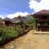 sembalunbumbung