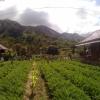 sembalunbumbung
