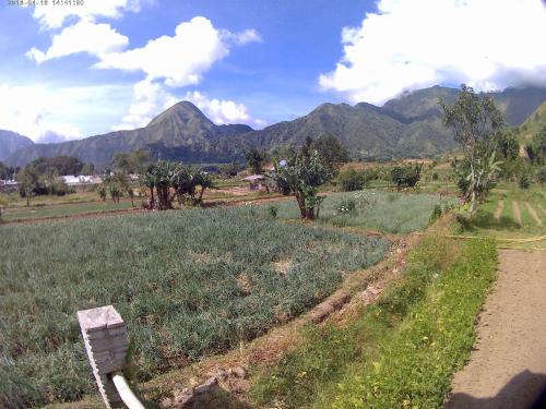 sembalunbumbung