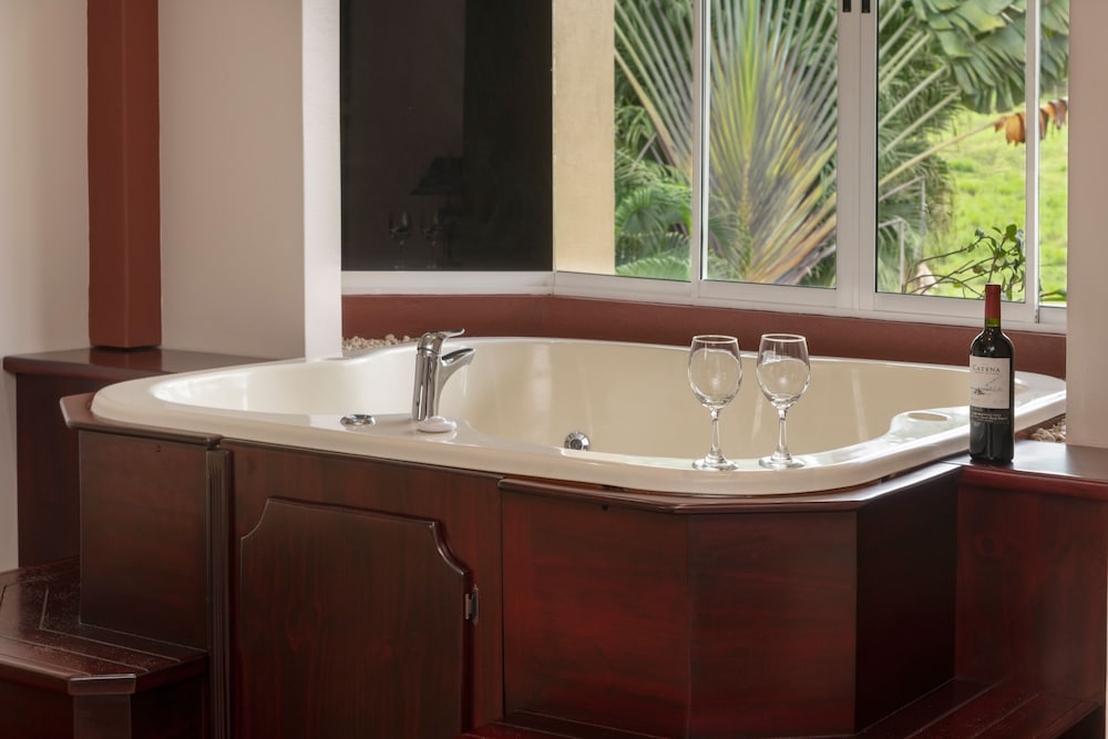 hotel magic mountain spa and conference center