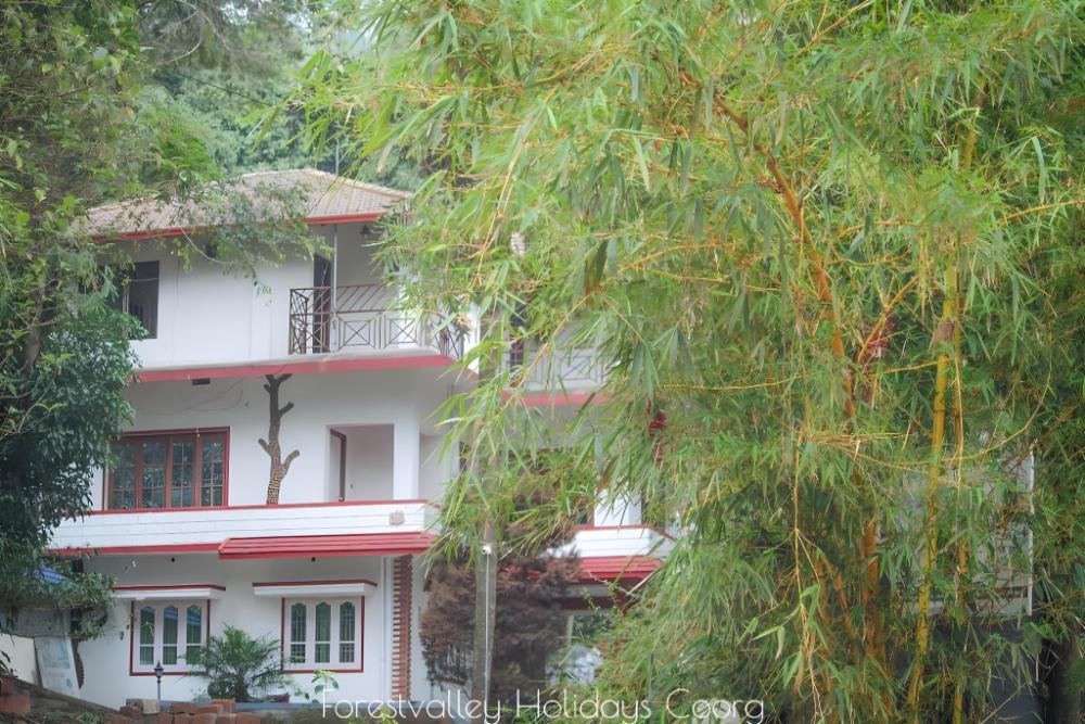forestvalley holidays coorg