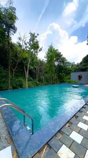 forestvalley holidays coorg