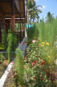 penida lapaya garden