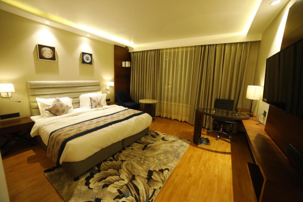 hotel ortus