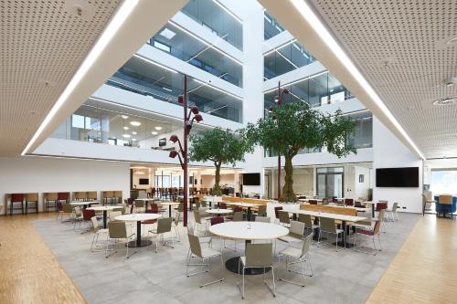 hotel vivendi