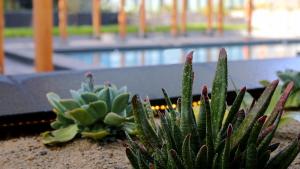 quartz hotel and spa