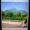 tiruvannamalai
