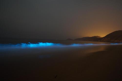 matsu star yang bandb