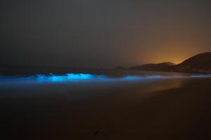 matsu star yang bandb