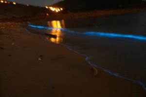 matsu star yang bandb