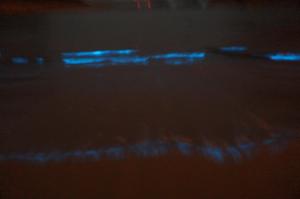 matsu star yang bandb