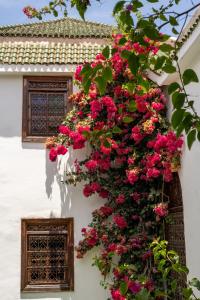 riad alma