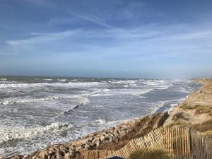 petale de rose dunes 3
