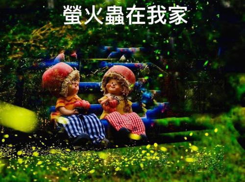 pastaai leisure farm