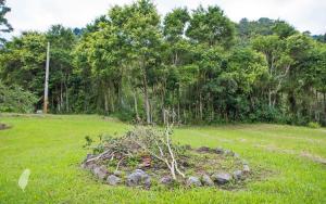 pastaai leisure farm