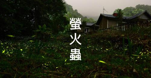 pastaai leisure farm