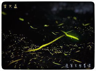 pastaai leisure farm