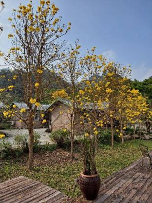 pastaai leisure farm