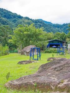 pastaai leisure farm