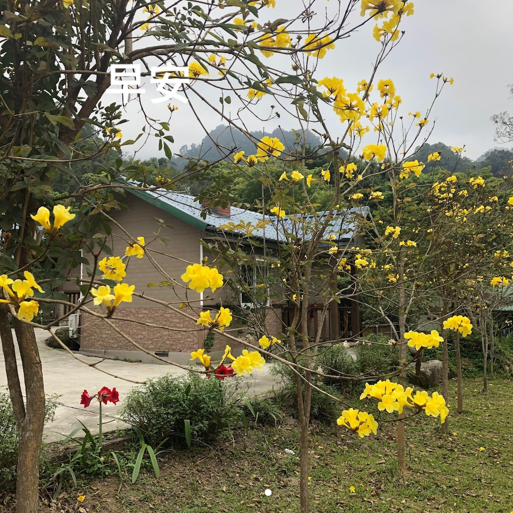 pastaai leisure farm