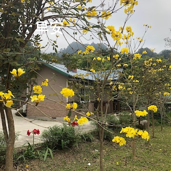 pastaai leisure farm