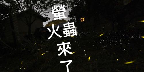 pastaai leisure farm