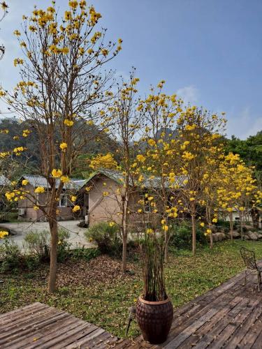 pastaai leisure farm