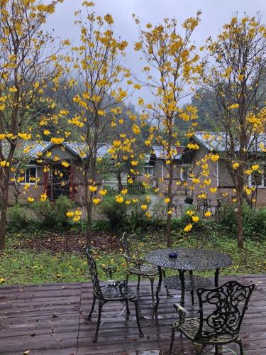 pastaai leisure farm