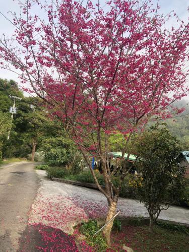 pastaai leisure farm