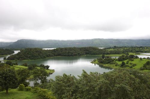 nethersole dam