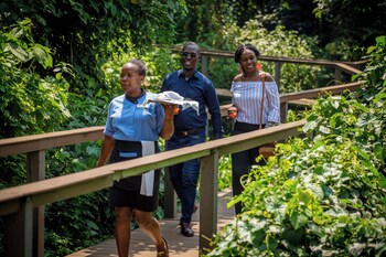 lemala wildwaters lodge