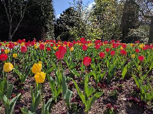 premier inn frankfurt westend hotel