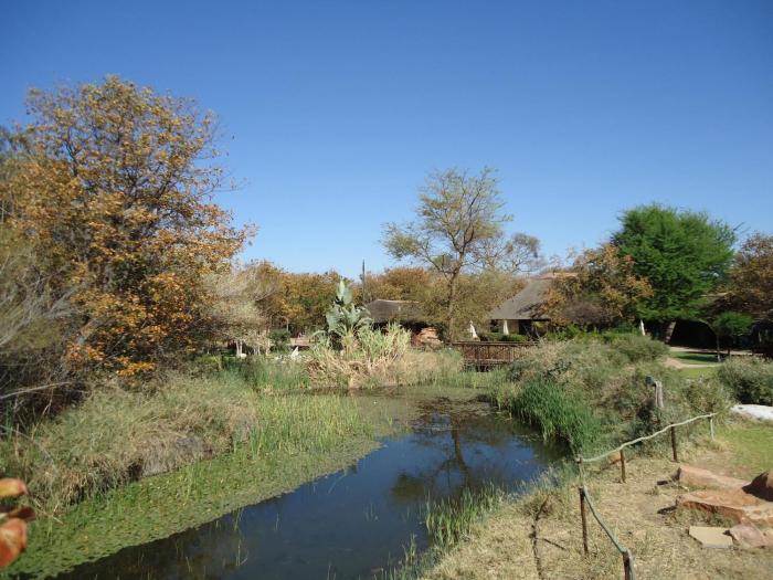 selebi phikwe