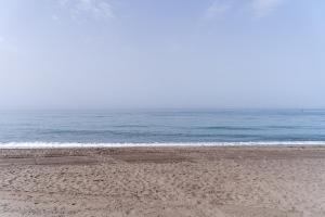 torrox