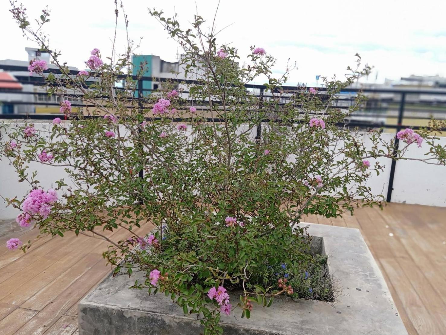 lampang